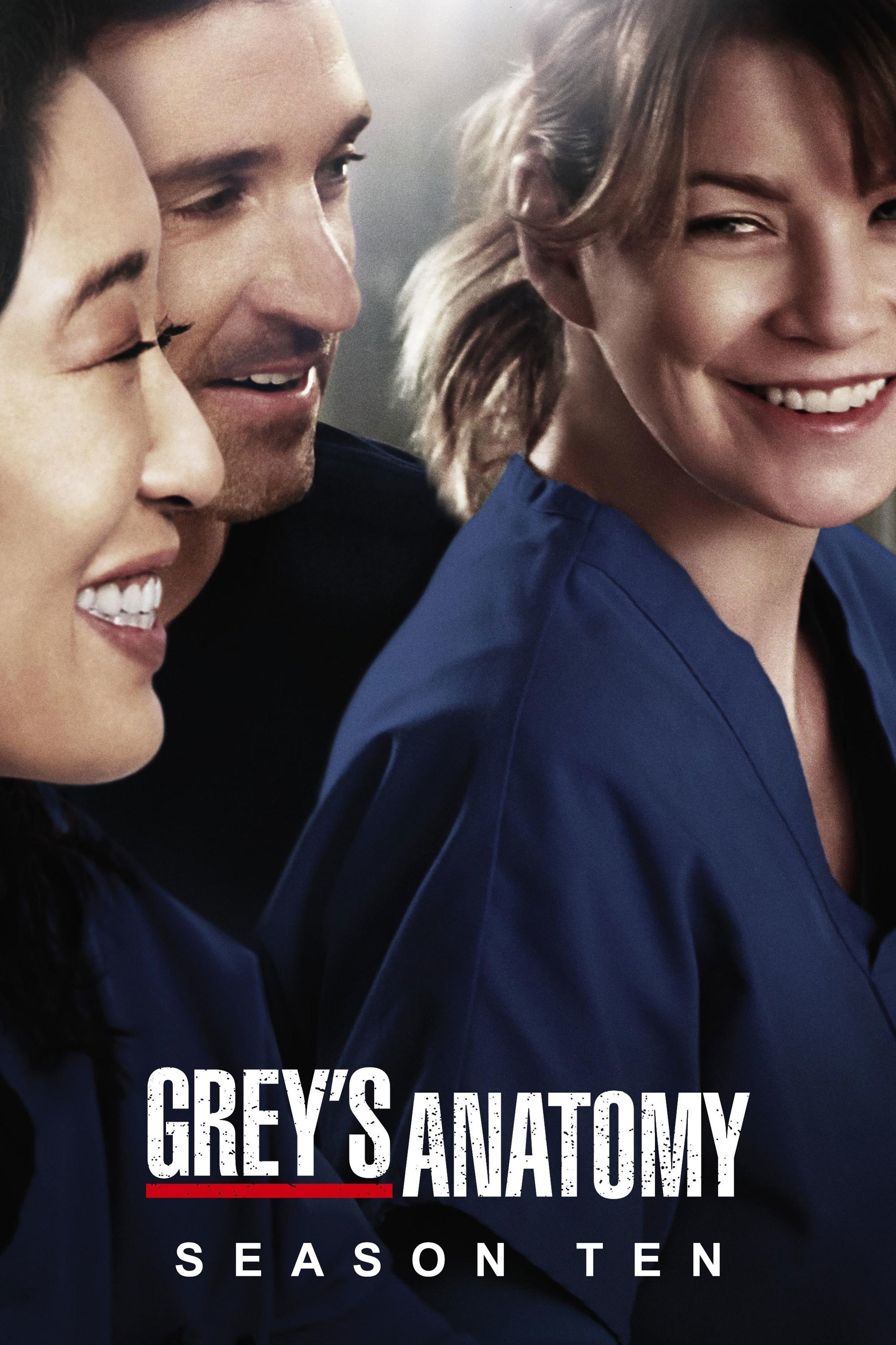 Grey's Anatomy - Season 10 [13809] (A1763984907) [[Shows]] --Plex--
